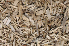 biomass boilers Treligga